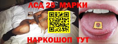 стафф Кандалакша