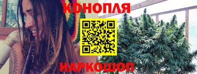 ПСИЛОЦИБИНОВЫЕ ГРИБЫ Канаш