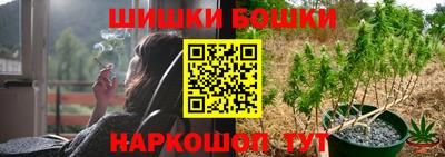 стафф Кандалакша