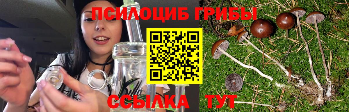 Галлюциногенные грибы Magic Shrooms Лабытнанги